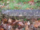 image of grave number 291643